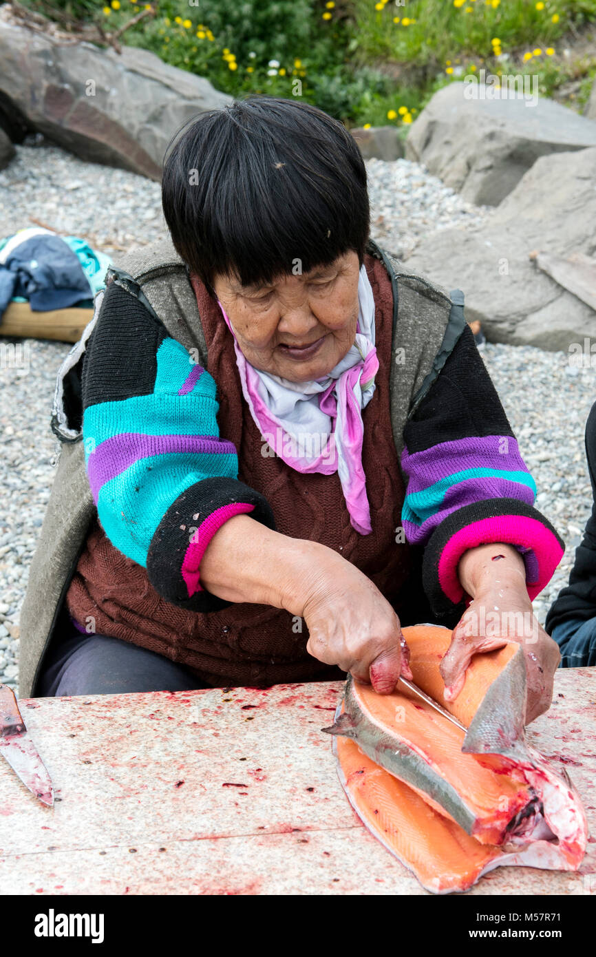 Senior Chukchi Frau schneidet gerade erwischt sallmon an der Küste und bereit, es für die Trocknung Stockfoto