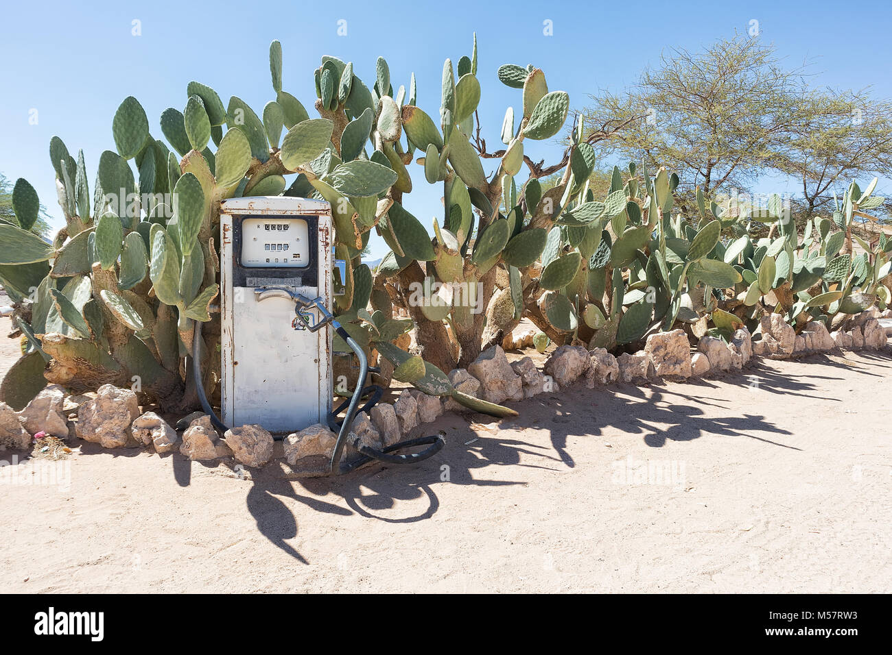 Alte Kraftstoffpumpe in Namibia Wüste mit Kakteen im Hintergrund, Ort Solitaire bekannt. Stockfoto