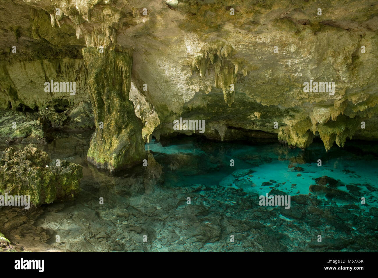 Kristallklares Wasser in der Cenote Dos Ojos, Cenoten, Tulum, Akumal, Yucatan, Quintana Roo, Mexiko, der Karibik Stockfoto