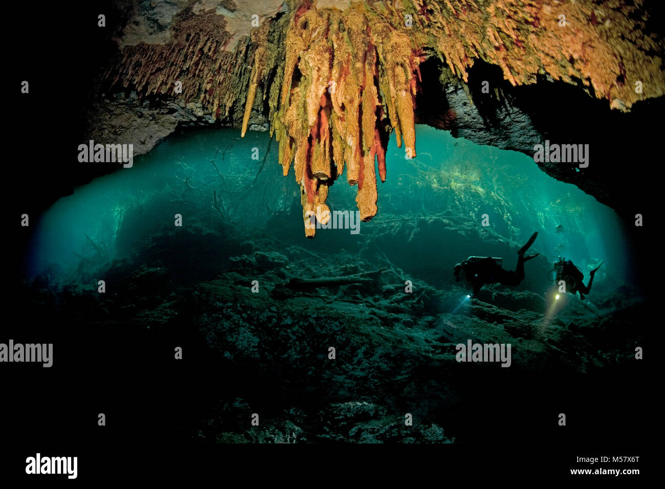 Cave diver an der Mündung der Höhle, Cenote El Eden, Cenoten, Tulum ...