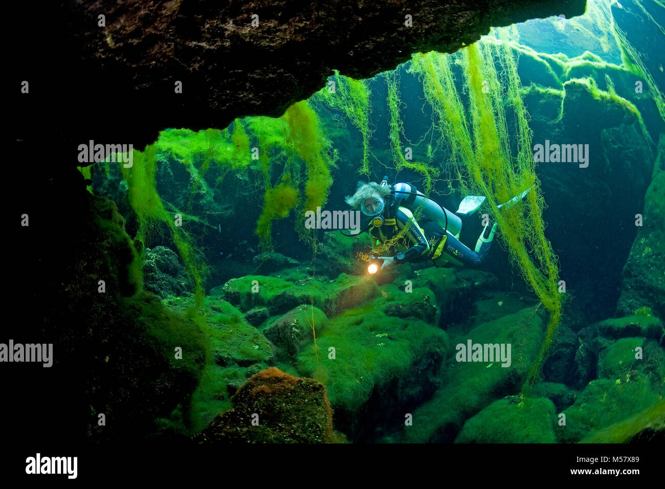 Cave diver am Eingang der Cenote El Eden, Algen die Felsen deckt, Cenoten, Tulum, Yucatan, Quintana Roo, Mexiko, der Karibik Stockfoto