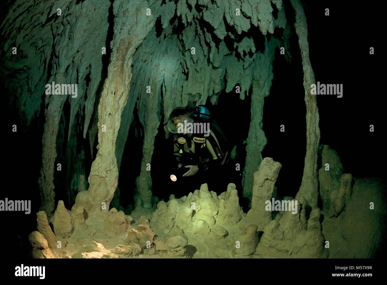Cave Diver in der Cenote Grand Cenote, Cenoten, Tulum, Yucatan, Quintana Roo, Mexiko, der Karibik Stockfoto