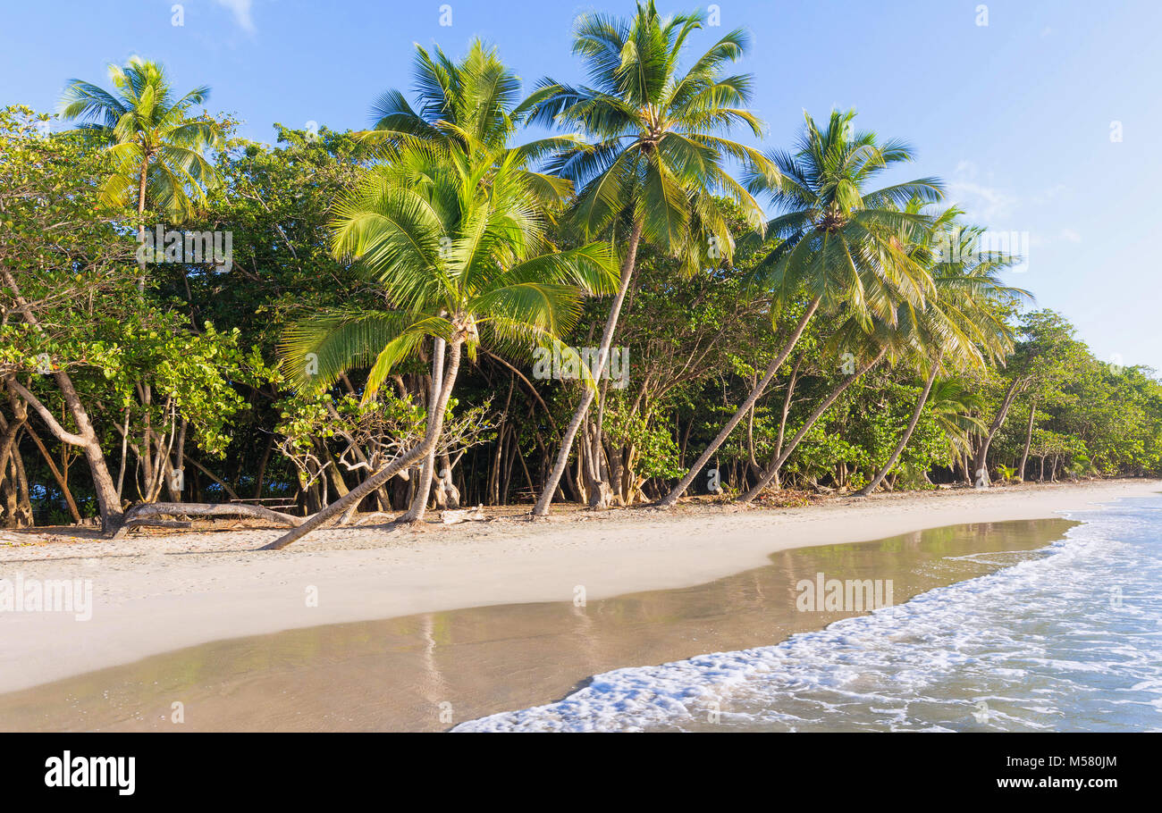 Die karibischen Strand, Martinique Insel. Stockfoto