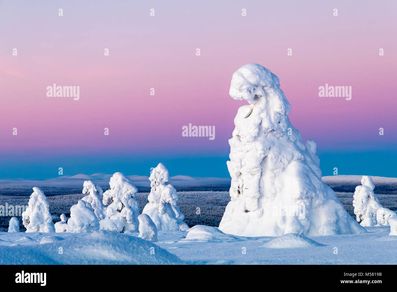 Verschneite Bäume im finnischen Lappland Stockfoto