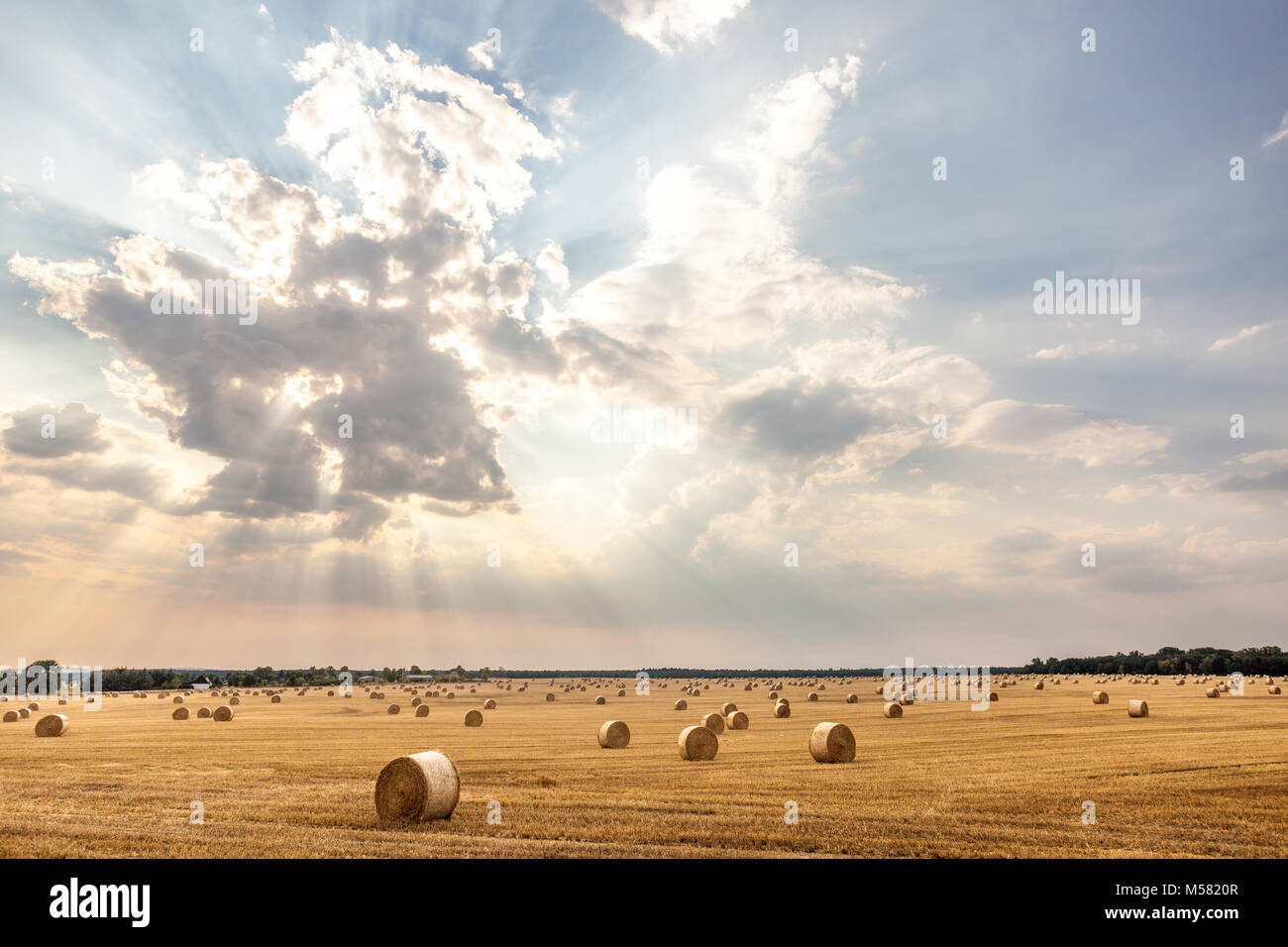 Feld in der Nähe von Jacobsdorf, Brandenburg, Deutschland. Die Sonne hinter Wolken, Sonnenstrahlen in den Himmel, Ballen von staw liegen auf dem Stoppelfeld Feld. Stockfoto