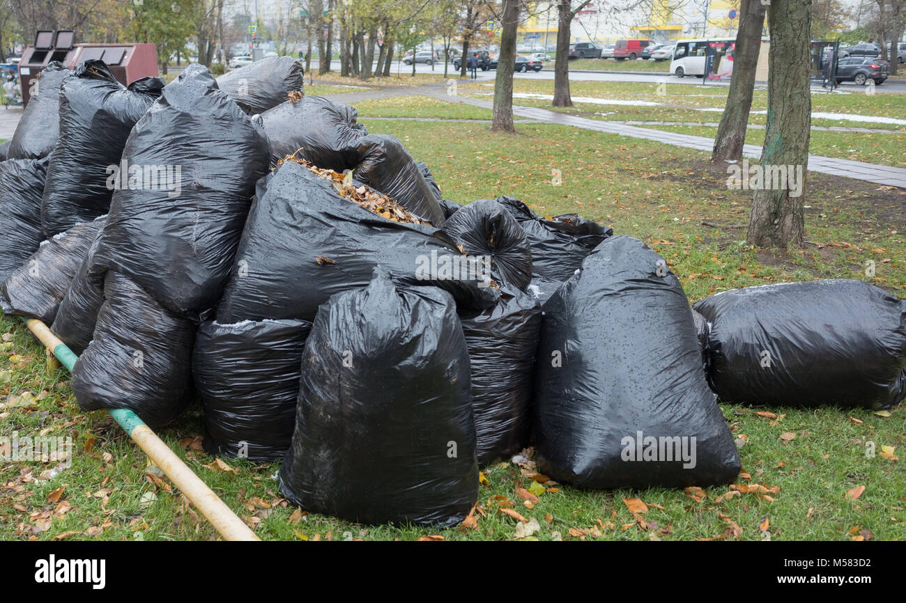 Schwarze Säcke mit Müll auf dem grünen Rasen im Herbst. Stockfoto