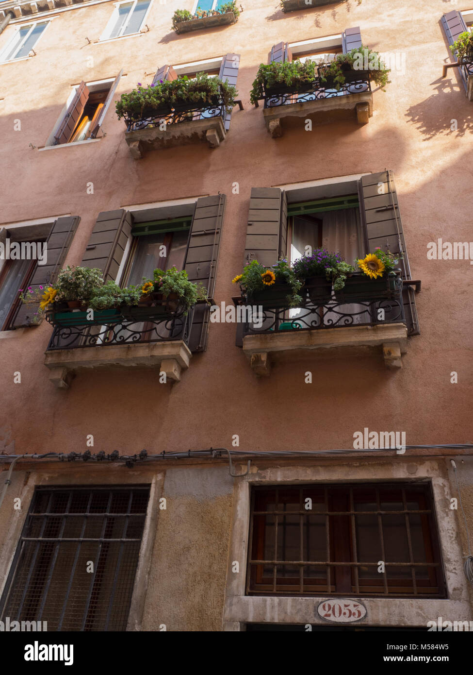 Venezianisches Gebäude mit mehreren Fenstern und Blumenkästen Stockfoto