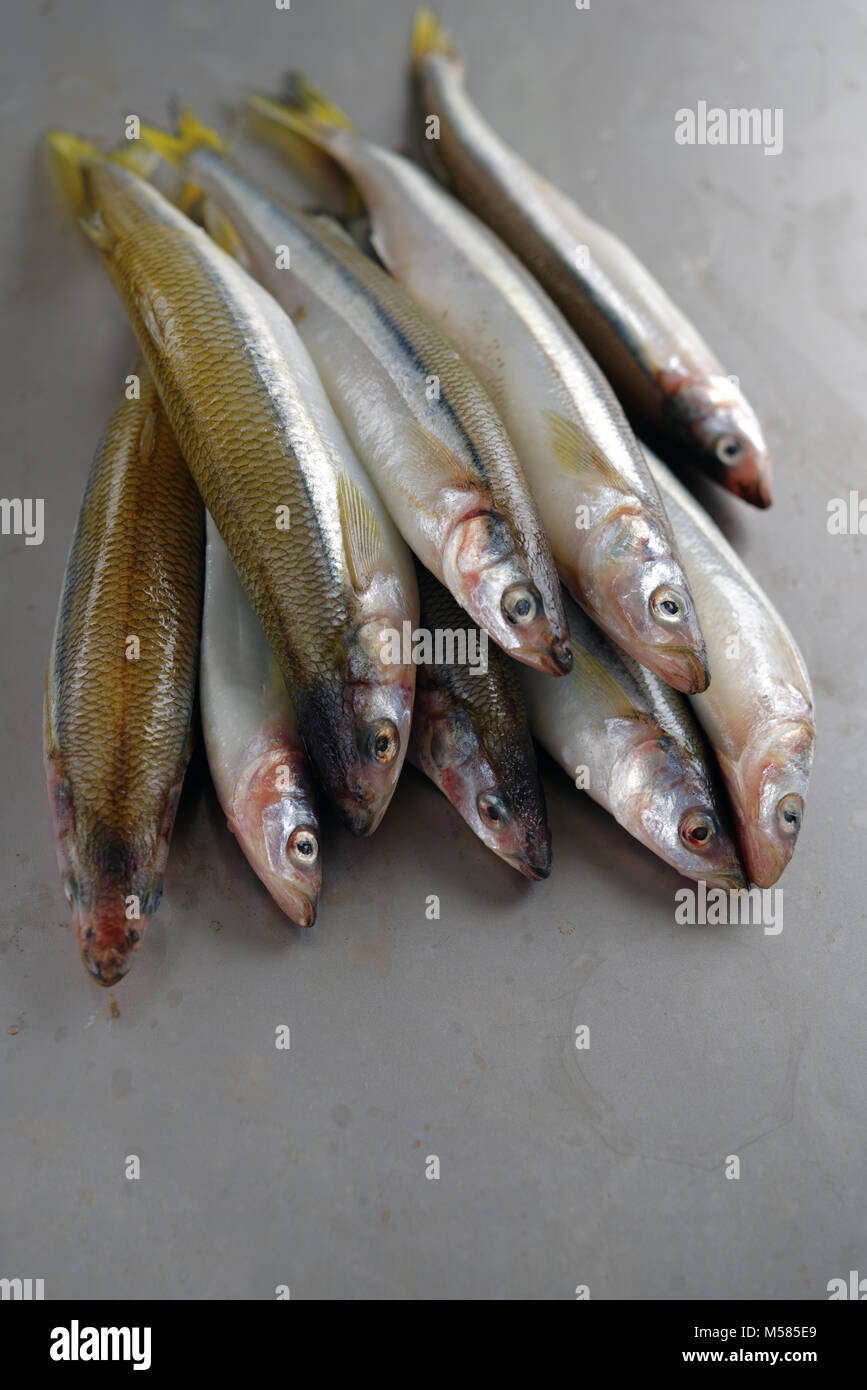 Raw roch Fische auf einem Tisch Stockfoto