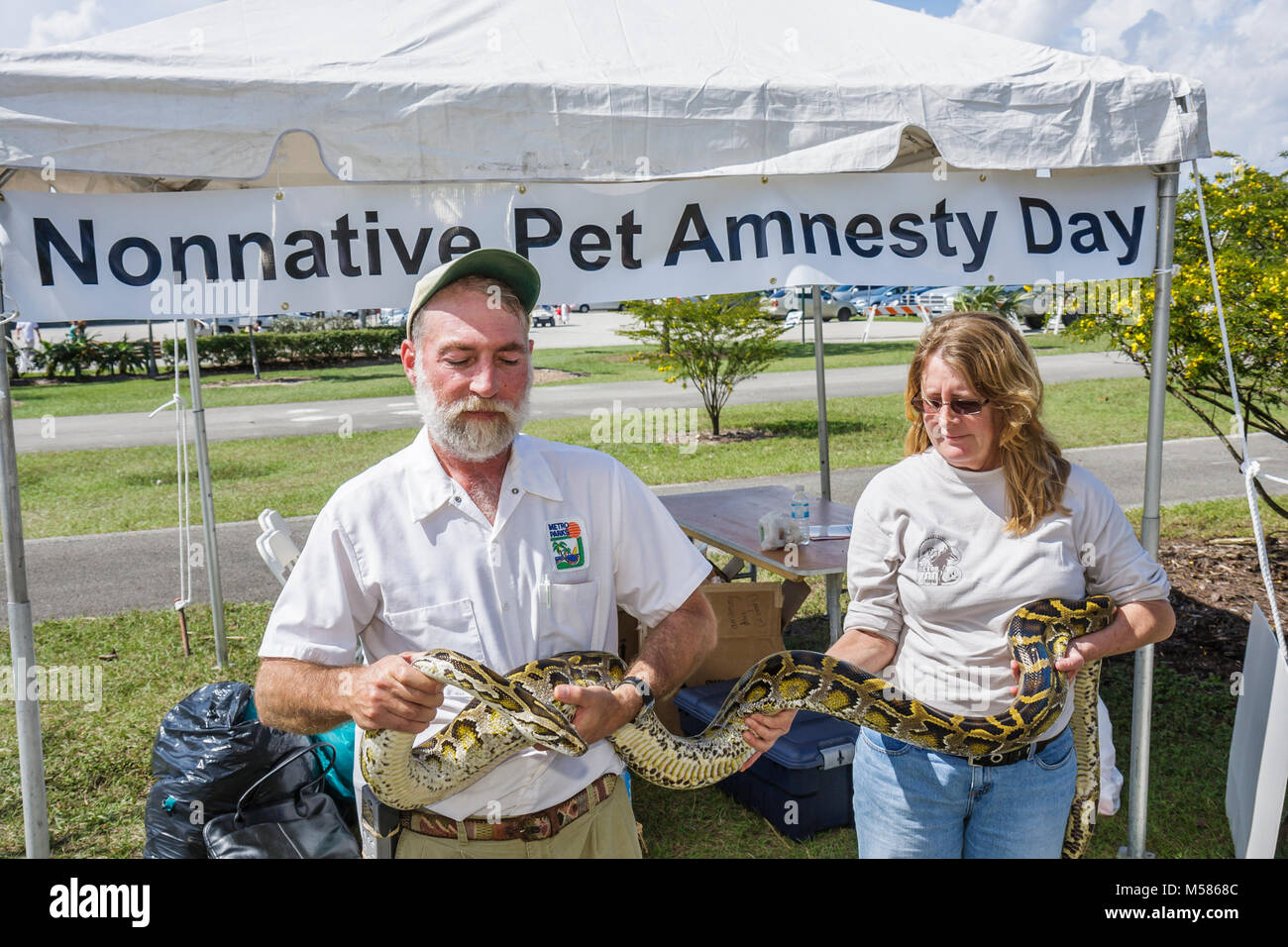 Miami Florida, Metrozoo, Amnesty Day für nicht-einheimische Haustiere, unerwünschte exotische Tiere, Fisch- und Wildtierschutzkommission, birmanischer Python, Tierführer, Reptil Stockfoto