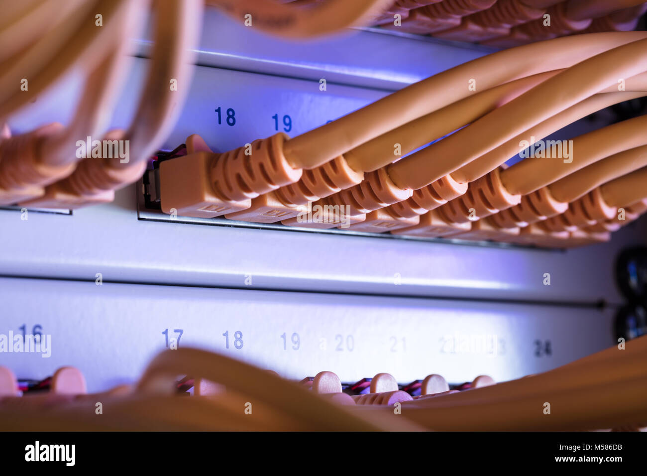 Nahaufnahme des gelben Kabel mit Server verbunden Stockfoto