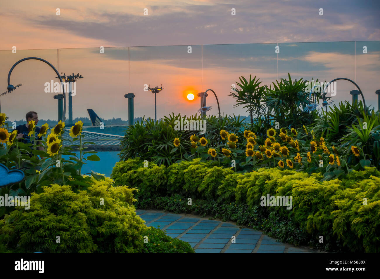 Singapur, Singapur - Januar 30, 2018: unbekannter Mann besucht die Sonnenblume Garten innerhalb des Singapur Changi Airport, bei Sonnenuntergang Stockfoto
