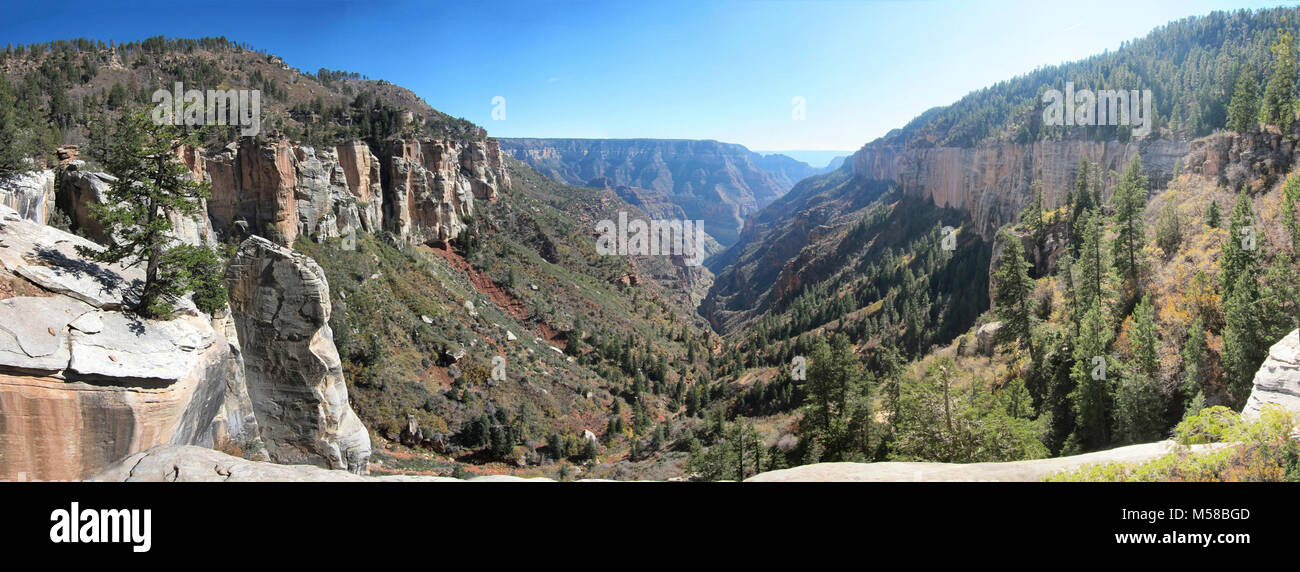 Grand Canyon National Park N Kaibab Trail Coconino Übersehen e. (8392 x 3112) von Coconino übersehen auf der North Kaibab Trail, der Blick ist nach unten in die Roaring Springs Canyon. Auch die kurze Wanderung zu Coconino übersehen (1,5 Meilen/2,4 km Hin- und Rückfahrt) oder Supai Tunnel (4 Meilen / 6,5 km Hin-und Rückfahrt) erhalten Sie eine Anerkennung für reiche natürliche Schönheit des Canyons und immense Größe. Eine Wanderung zu Roaring Springs und zurück ist extrem anstrengend und dauert einen vollen Tag (7-8 Stunden) - ihre Wanderung beginnen vor 7 Uhr Roaring Springs liegt 3.050 Fuß/930 m unterhalb der Canyon Rim und ist 9,4 Meilen / 15 km Runde Stockfoto