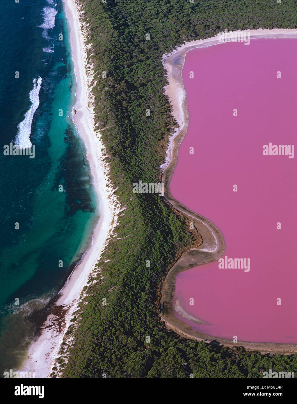 Luftbild des Lake Hillier, Middle Island, Archipel der Recherche, Western Australia Stockfoto