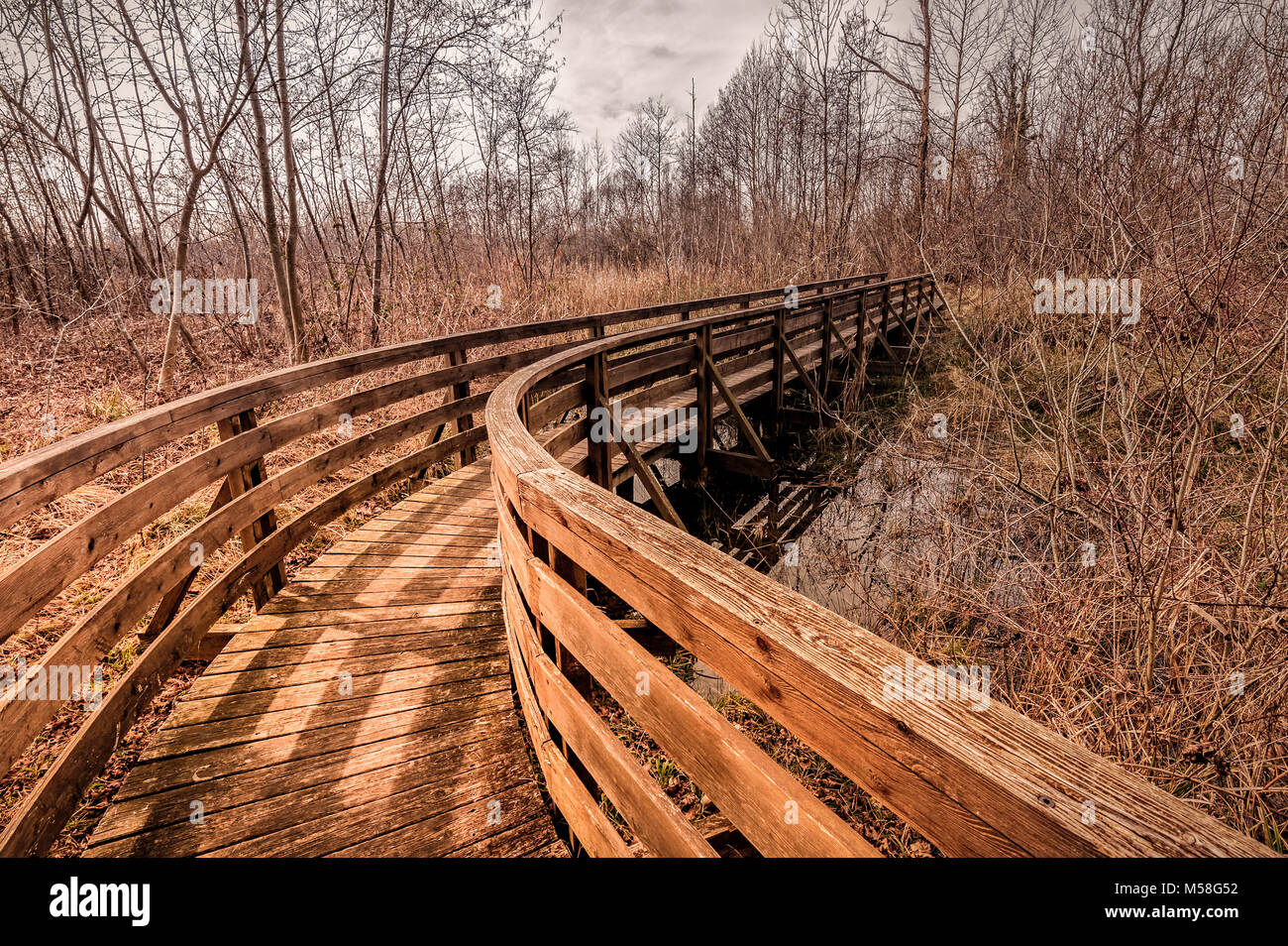 Holzsteg für Wanderungen im Naturpark. Stockfoto