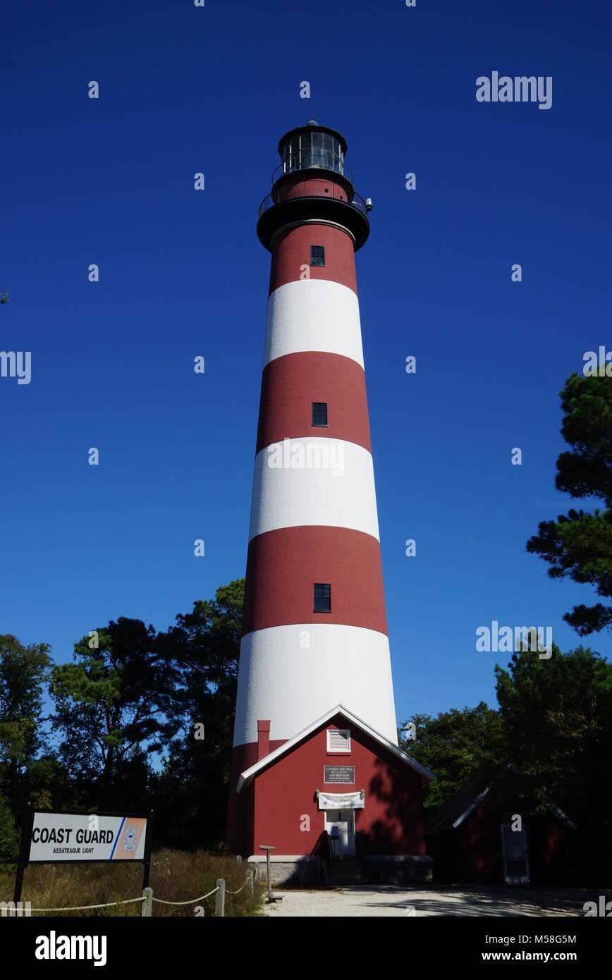 Leuchtturm von Assateague Island, Stockfoto