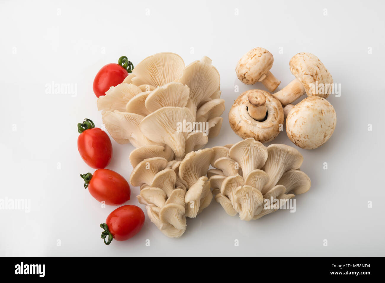 Gemüse: Blick von oben auf die Auster und Champignons mit roten Baby Tomaten isoliert auf weißem Hintergrund Stockfoto