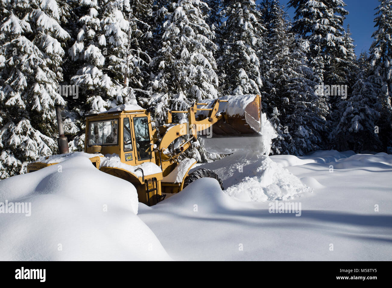 02/19/2018 Snow event. Ein Caterpillar 950 mit Gummibereifung artikuliert Lader Schneeräumen auf einem Berg Straße nördlich des Noxon, in Sanders County Montana. Stockfoto