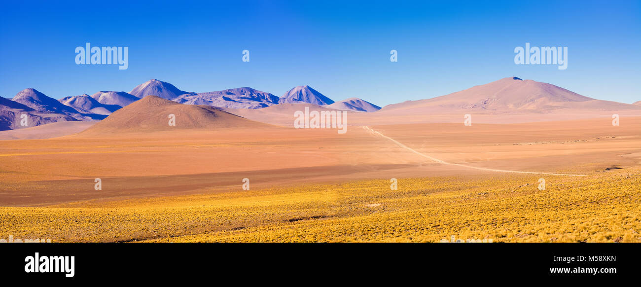 Altiplano Landschaft auf über 4000 Metern Höhe, Atacama-wüste, Chile, Südamerika Stockfoto