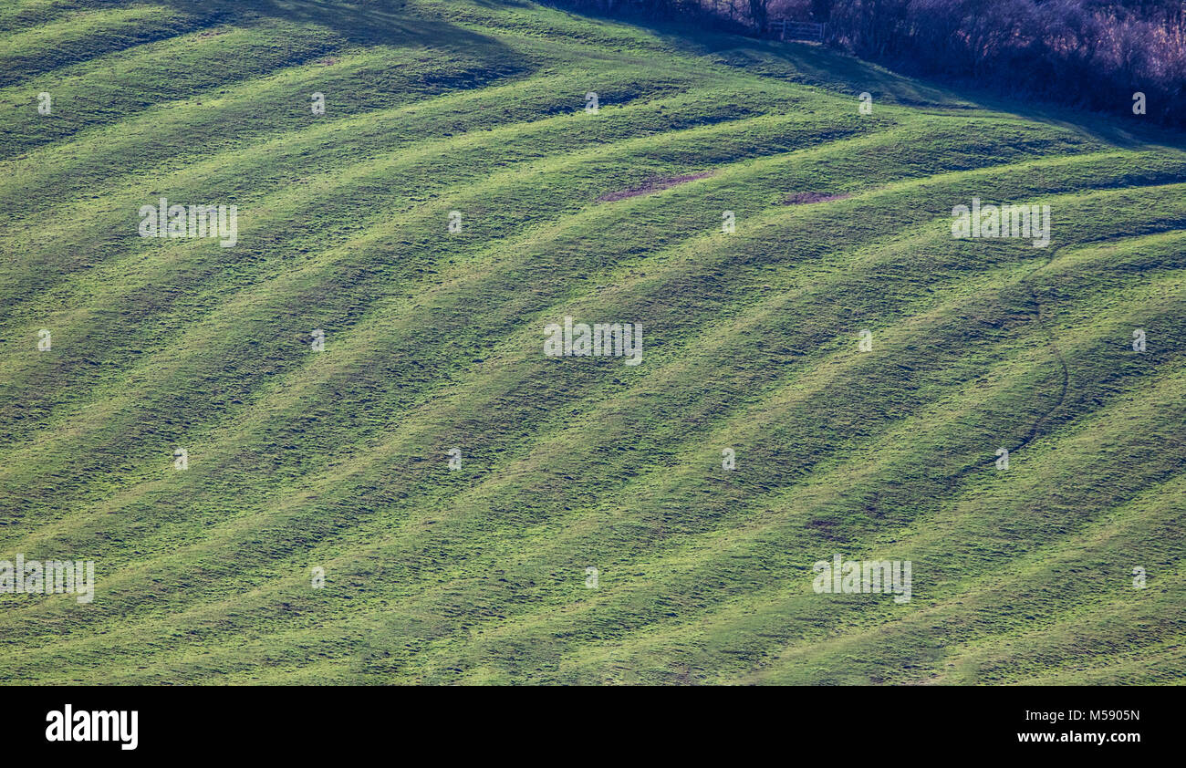 Englische Landschaft mit niedrigen Sun zeigt mittelalterliche Ridge und furche Feld System auf einem hellen Winter Tag Stockfoto