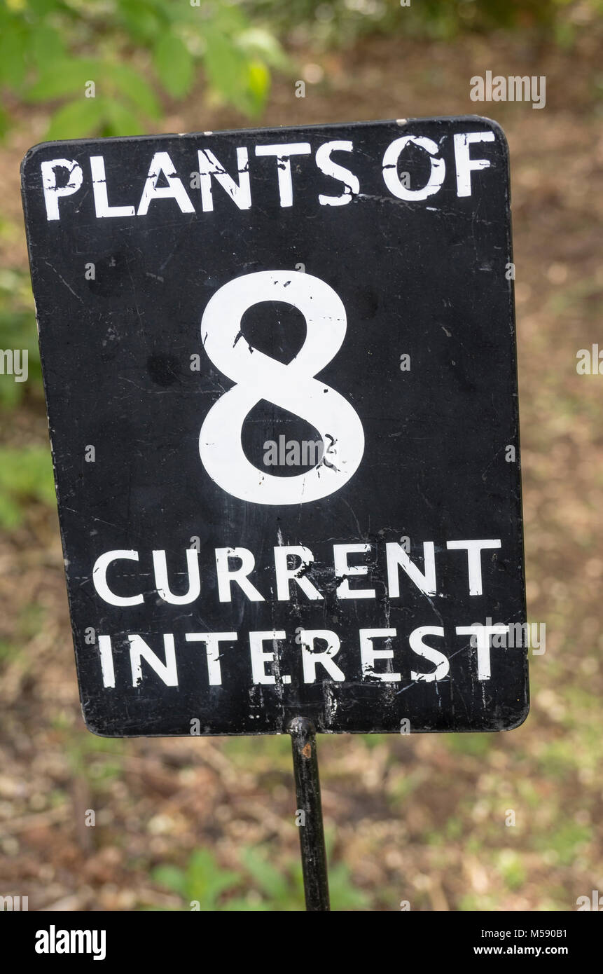 Nützliche Zeichen, um die interessantesten Pflanzen in einem Arboretum in Großbritannien finden Stockfoto