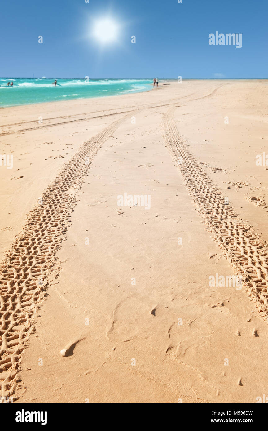 Traktor Titel auf dem goldenen Sand am Strand entlang führt. Lokalen Fokus Stockfoto