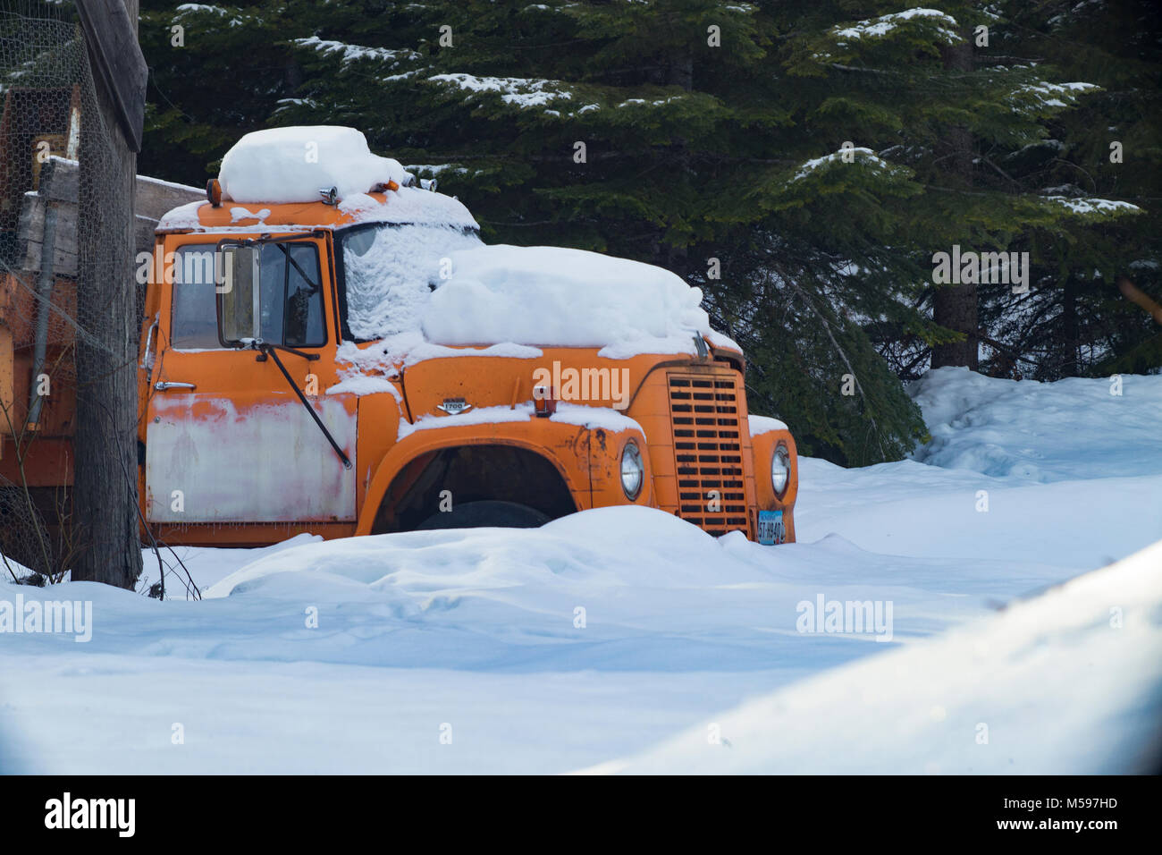 Eine verschneite 1970 Internationale Loadstar 1700 ein Dump Truck, im Eagle, Montana, geschossen mit einem antiken 10 Zoll B&L Petzval objektiv. Stockfoto