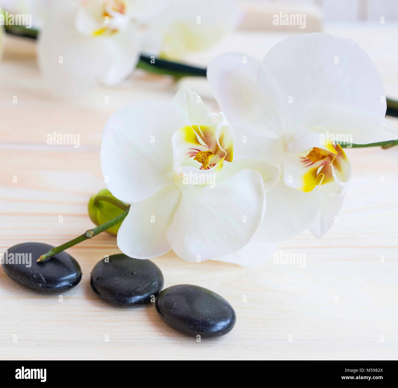 Spa Still life with white orchid Blumen und Massage Steine Stockfoto