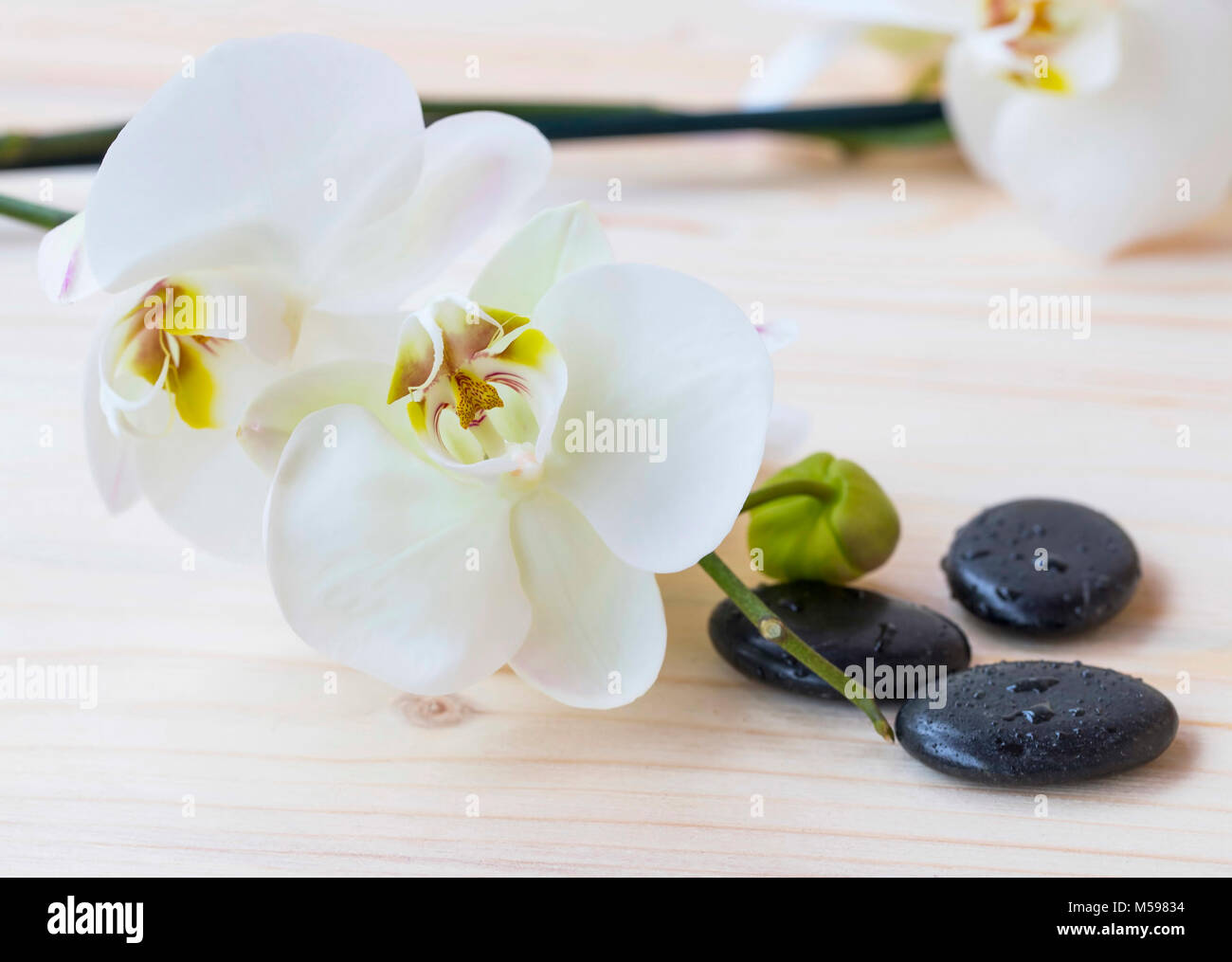 Spa mit Massage Orchidee Blumen und Steine, wellness Still Life Stockfoto