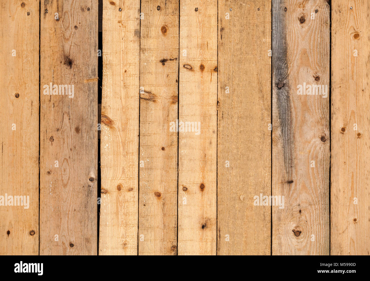 Ungefärbtes natürliche Holz Wand aus Kiefernholz, Hintergrund Foto Textur Stockfoto