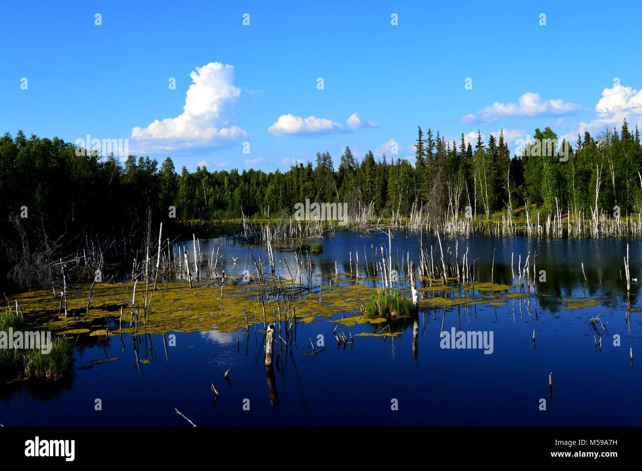 Norden der kanadischen See widerspiegeln blauen Himmel. Stockfoto