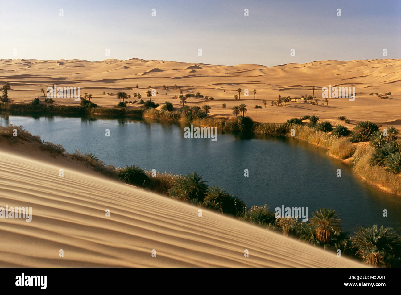 Libyen. Ubari. Sahara. Ubari Sandsea. Um El Ma Salt Lake. Oasis. Palmen. Wasser. Stockfoto Libyen. Ubari. Sahara. Ubari Sandsea. Um El Ma Salt Lake. Oasis. Palmen. Wasser. Stockfoto