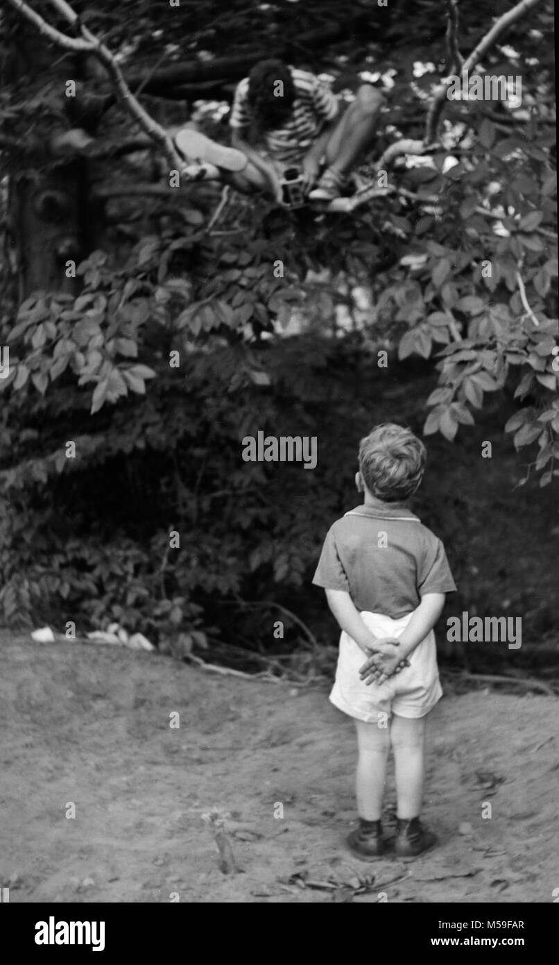 Junge in einen Baum nimmt ein Foto von einem anderen Jungen stehen im Vordergrund, Ca. 1960. Stockfoto