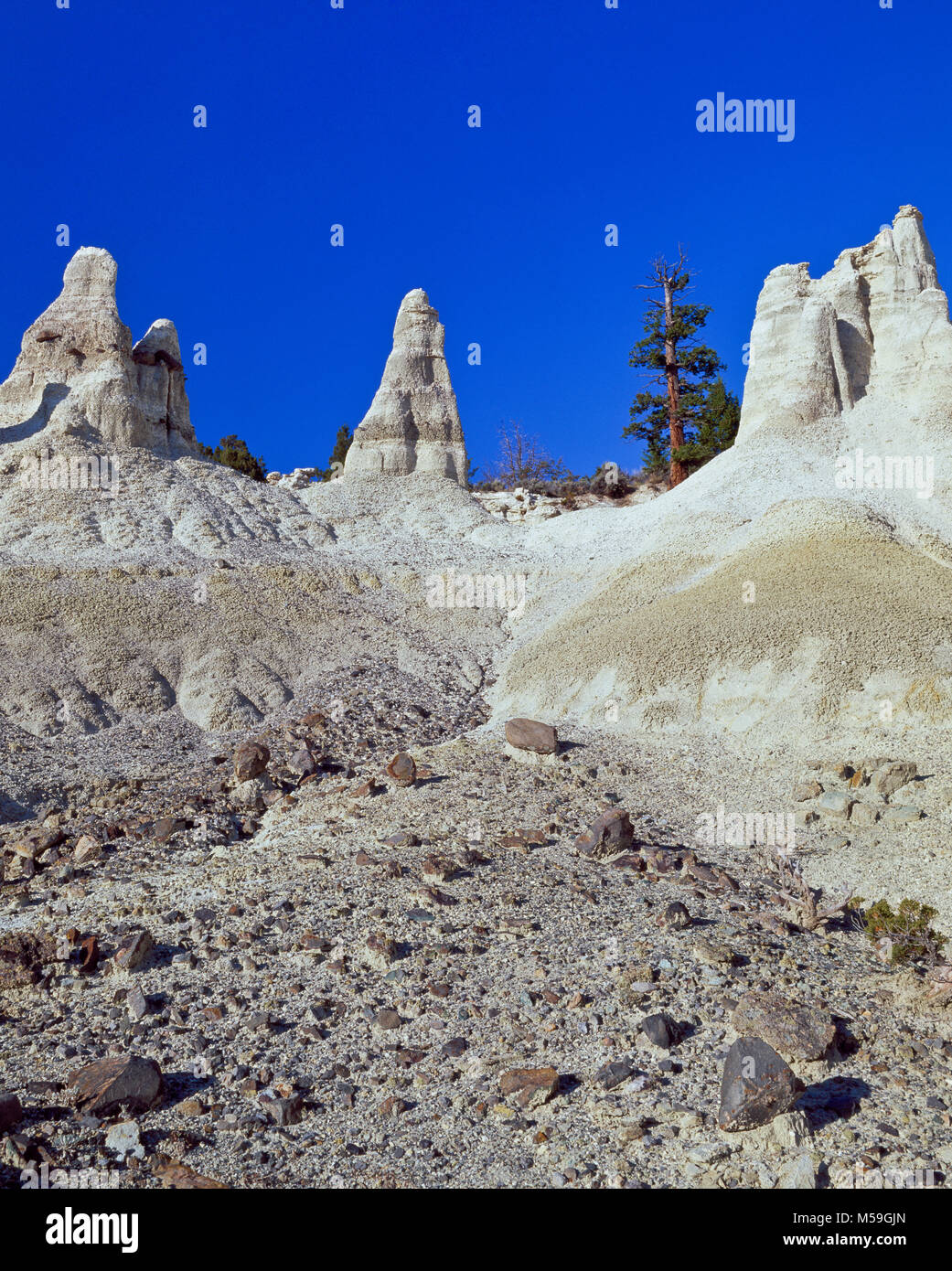 erodierte Zinnen der Vulkanasche und tertiären Sedimenten im Bereich "weiße Erde" in der Nähe von Winston, montana Stockfoto