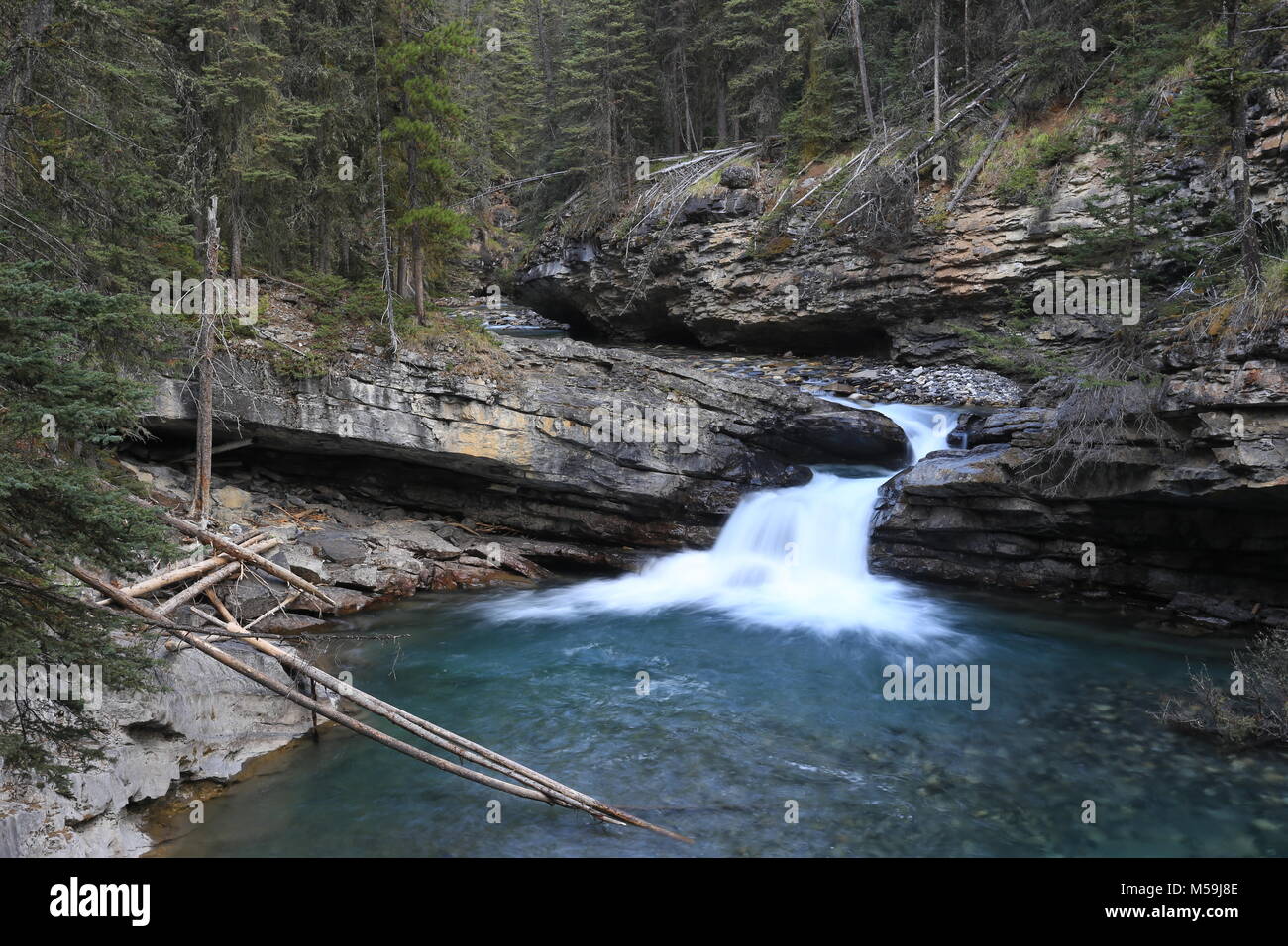 Wasserfall im malerischen Johnston Canyon, Banff National Park, Alberta, Kanada Stockfoto