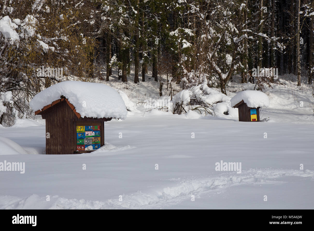 Bienenstock im Winter - Bienenstock Holz Haus bedeckt mit frischem Schnee, Bienenzucht Stockfoto