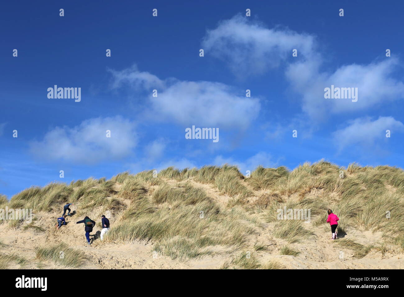 Klettern Sie in den Sanddünen, Camber Sands, Rye, East Sussex, England, Großbritannien, USA, UK, Europa Stockfoto