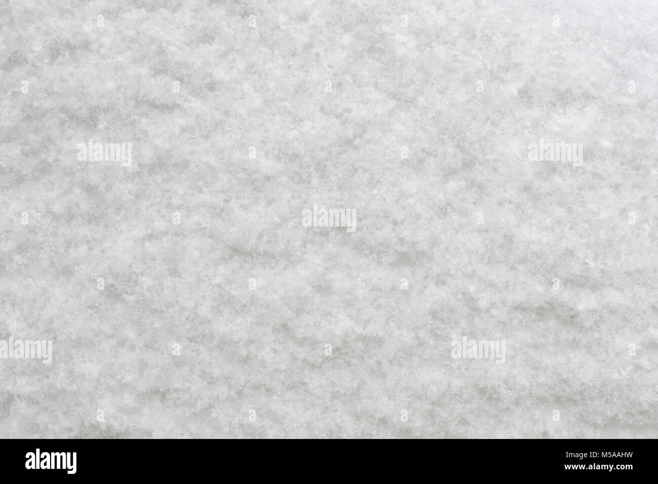 Textur von weichem Schnee Kristalle. Frischer Schnee Hintergrund Stockfoto