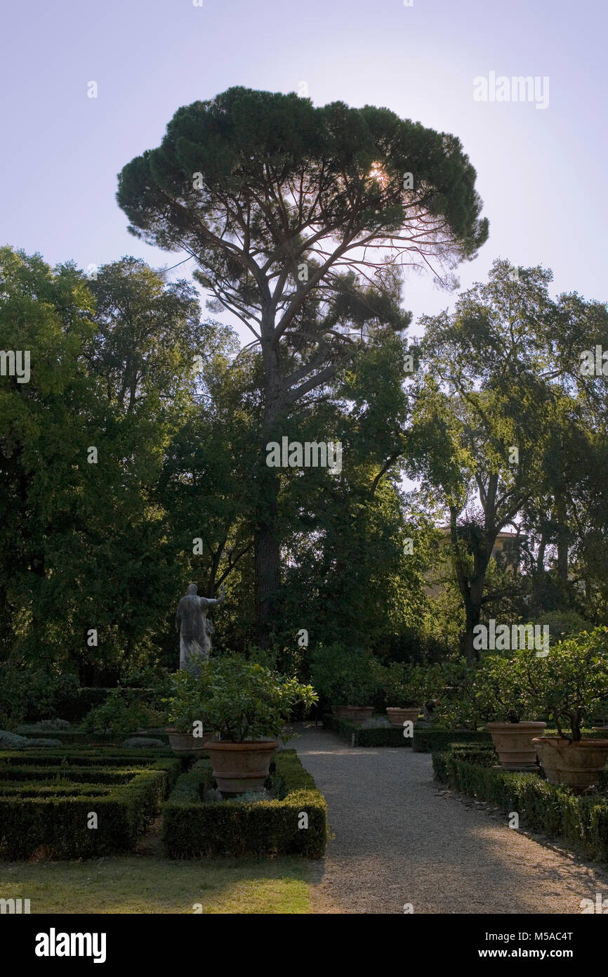 Giardino Corsini al Prato, Florenz, Toskana, Italien: Blick auf den Garten mit Box Hedging, Zitronenbäumen und Bildhauerkunst Stockfoto