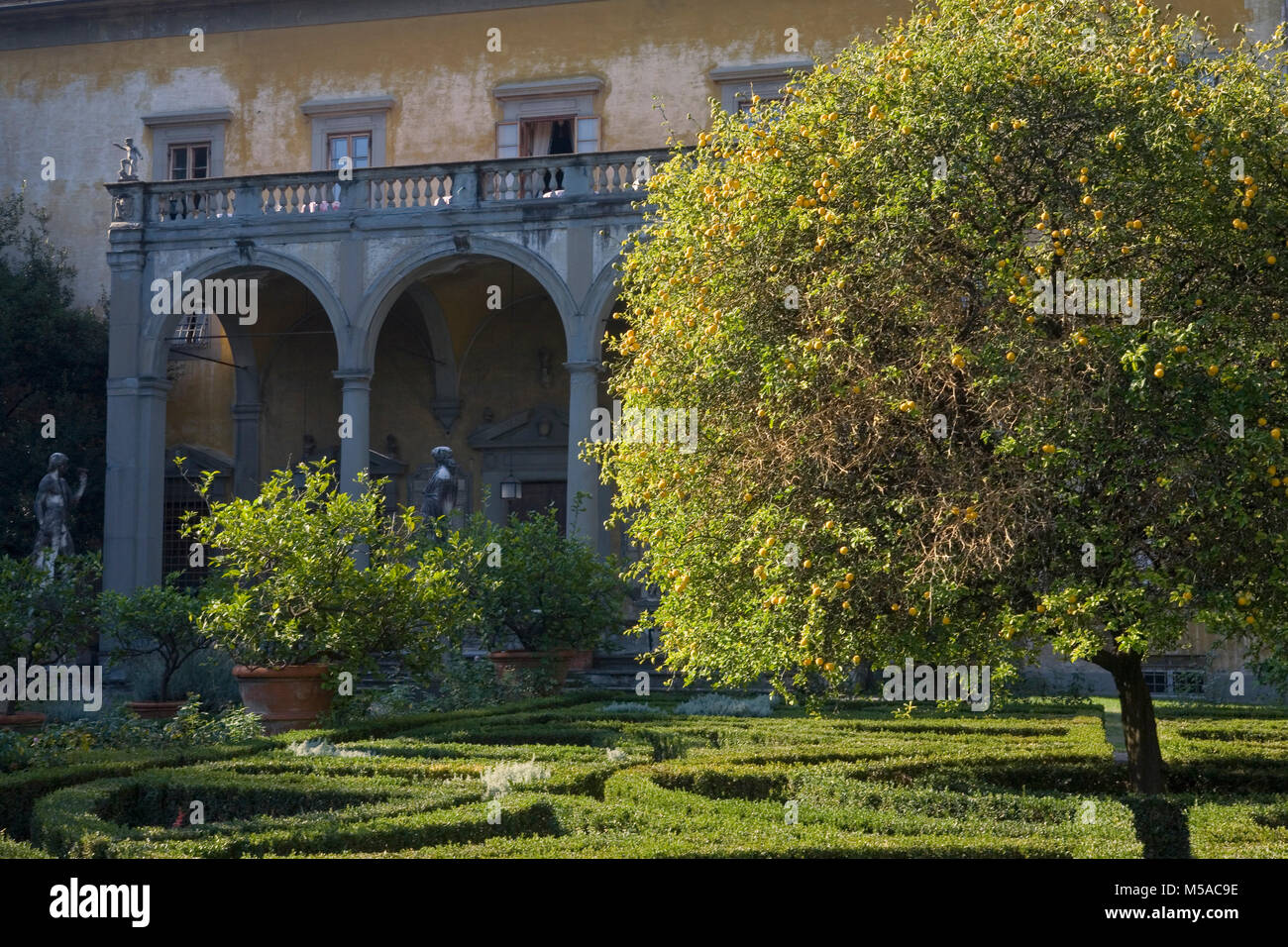 Giardino Corsini al Prato, Florenz, Toskana, Italien: Blick auf den Palast über der Box Hedging, Zitronenbäumen und Bildhauerkunst Stockfoto