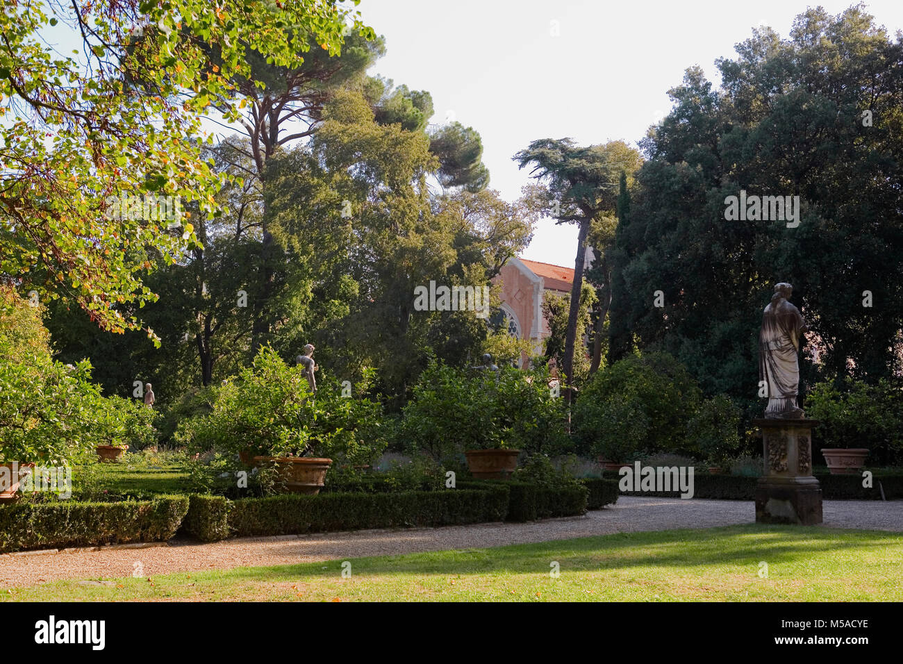 Giardino Corsini al Prato, Florenz, Toskana, Italien: Blick vom Schloss auf der box Absicherungs- und Zitronenbäumen und Bildhauerkunst Stockfoto