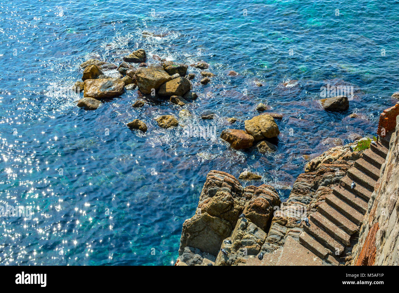 Die felsige Küste der Cinque Terre Italien mit der Sonne reflektiert die Aqua Blau flaches Meer während die Tauben auf die Schritte und große Felsen spielen Stockfoto