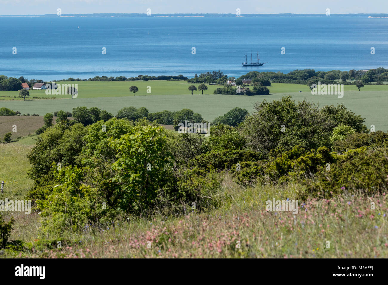 Blick von Høvblege über das südliche Moen mit einer 3-Mast Schoner auf See Stockfoto