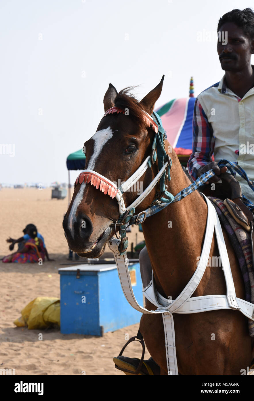 Freude Reiten Reiten am Strand, Chennai, Indien Stockfoto