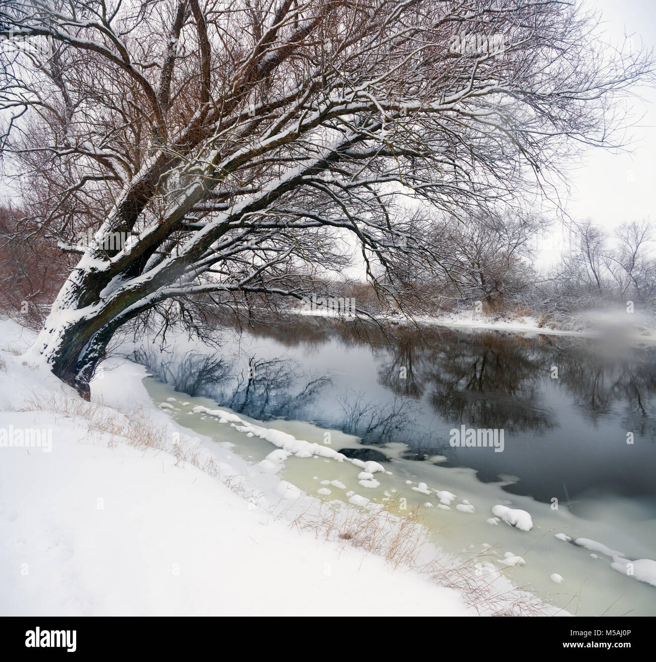 Winter River. Die schneebedeckten Bäumen und der Küste im Wasser spiegelt Stockfoto