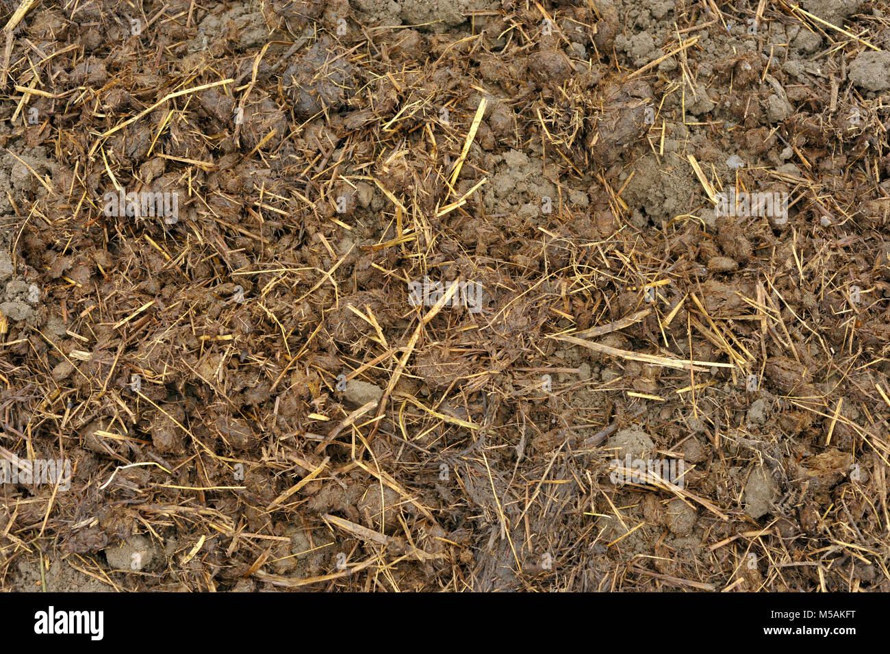Kompostmaterial Fotos und Bildmaterial in hoher Auflösung Alamy