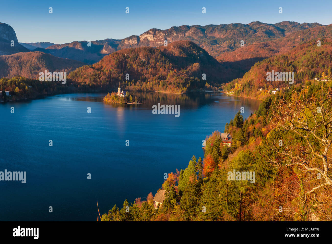 Bled, Slowenien - Panoramablick auf die Skyline Blick auf den Bleder See mit warmen Herbst Laub und die berühmte Wallfahrtskirche Mariä Himmelfahrt der Maria und die Alpen. Stockfoto