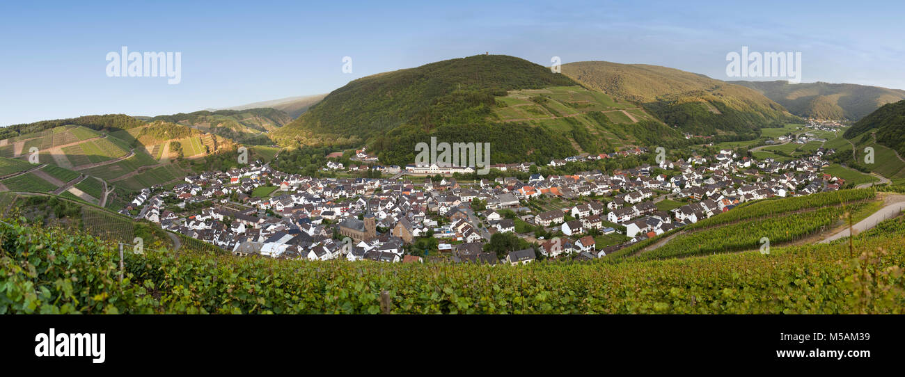 Dernau an der Ahr, Weinberge im Ahrtal Tal, Rheinland-Pfalz, Deutschland, Europa Stockfoto
