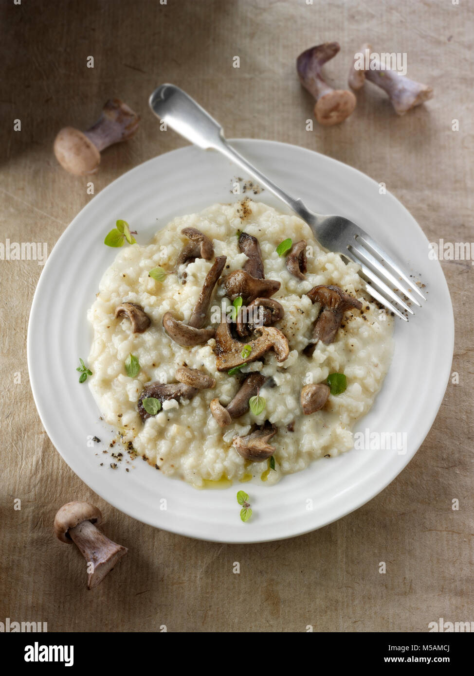 Sauteed wiild organische Pied Bleu Pilze (Clitocybe nuda) oder Blaue Fuß Champignons in Butter und Kräuter Risotto gekocht Stockfoto