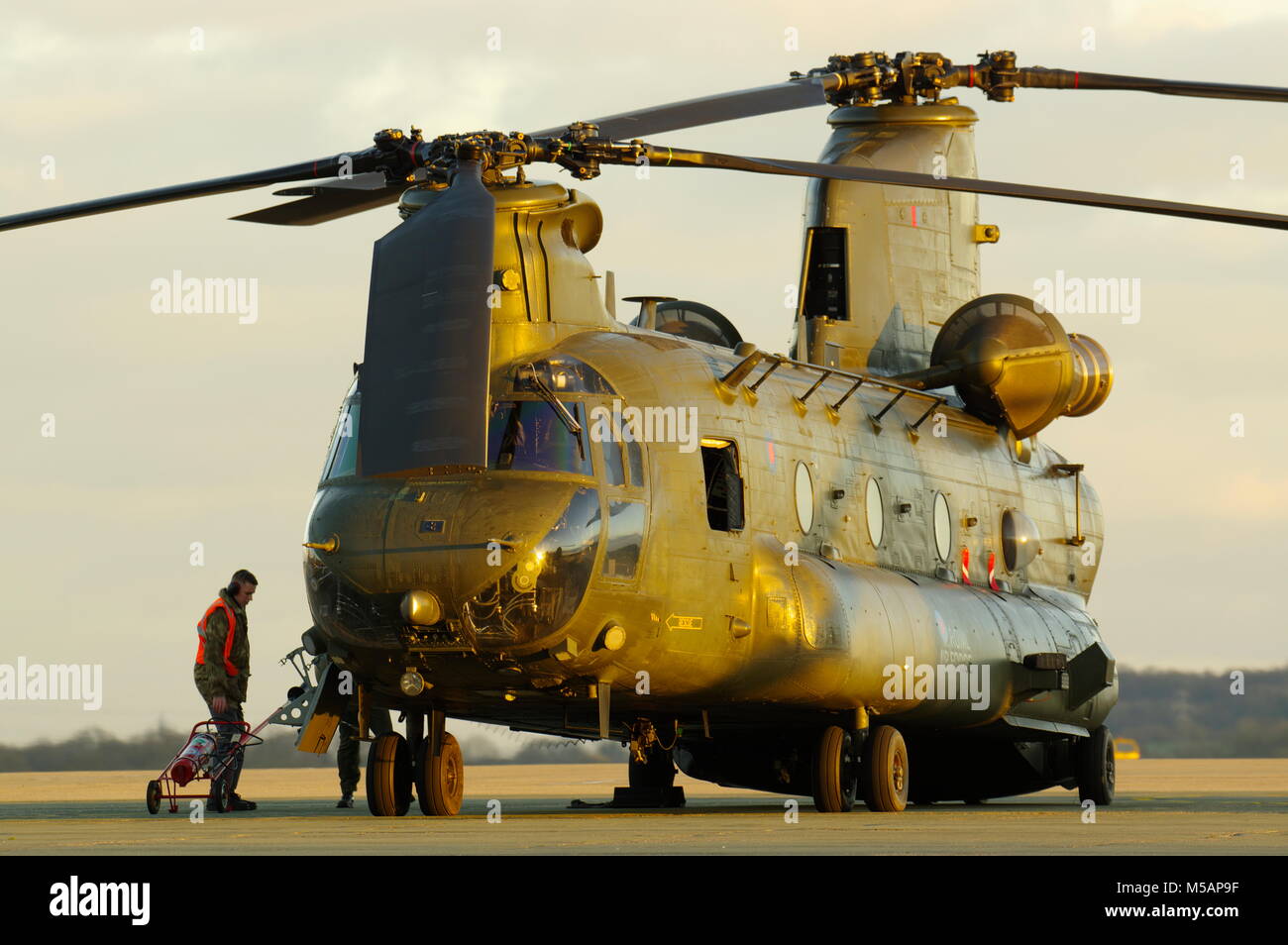 Boeing Vertol CH-47, Chinook Helicopter, RAF Odiham, Stockfoto