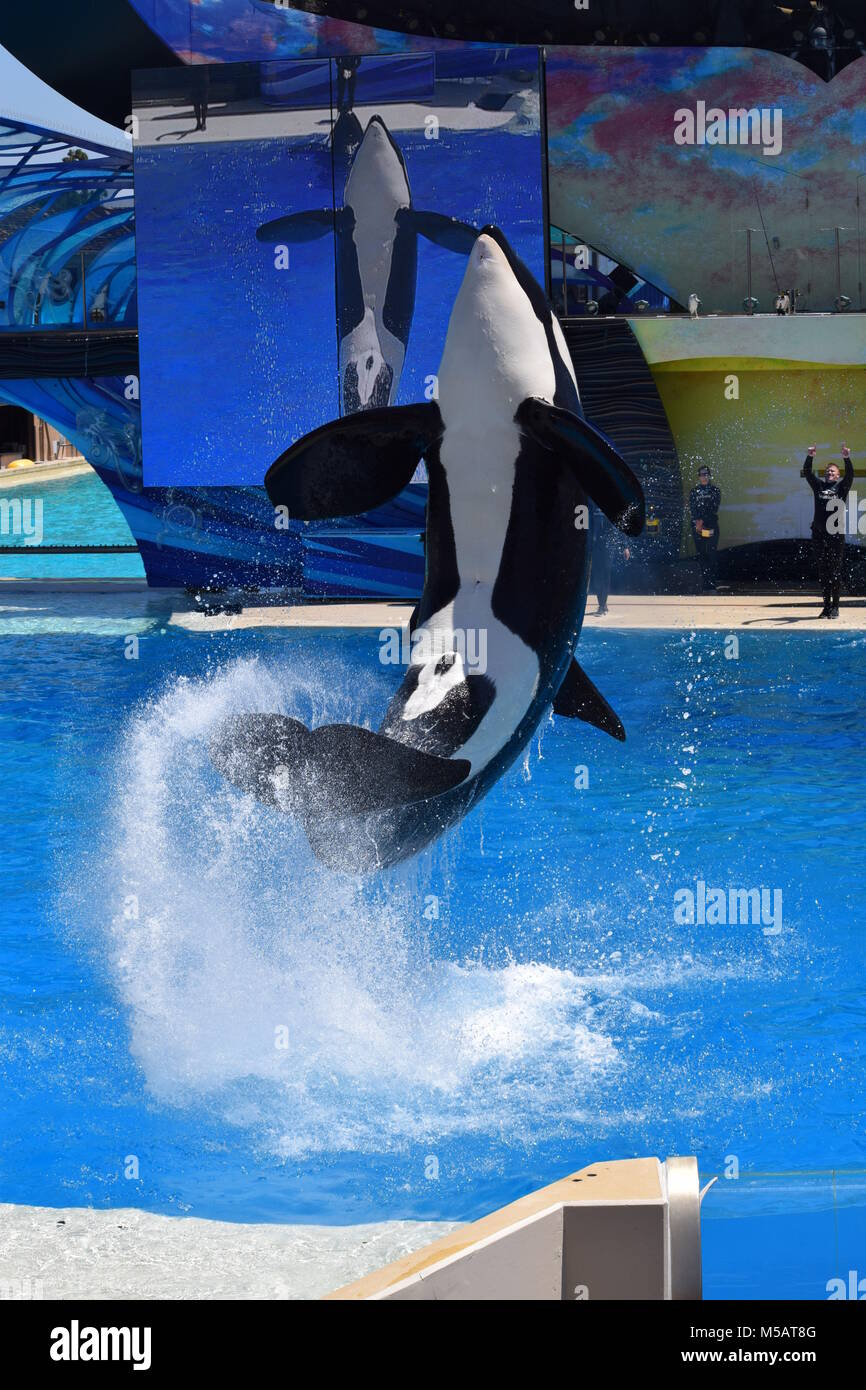 SeaWorld Stockfoto